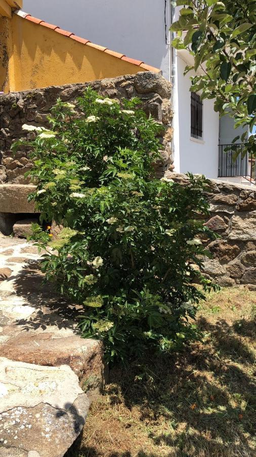 Casa Sierra De Gredos Guest House Navasequilla ภายนอก รูปภาพ