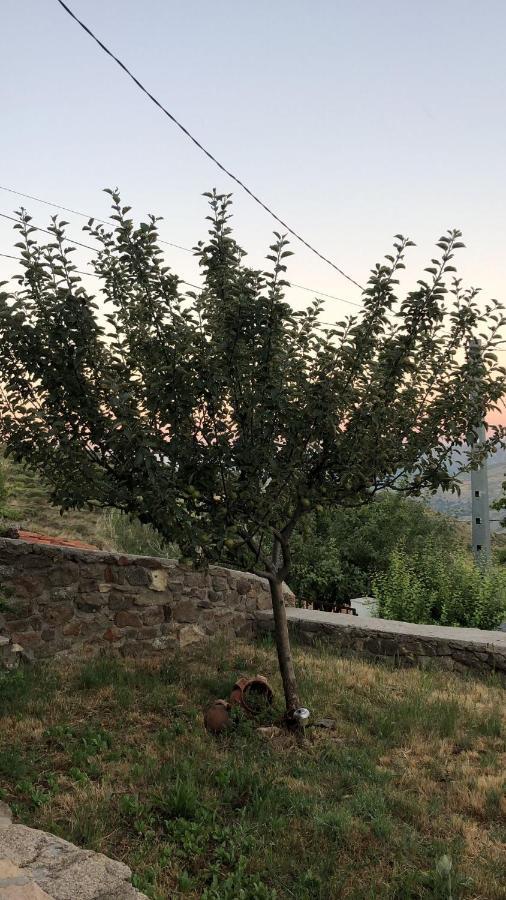 Casa Sierra De Gredos Guest House Navasequilla ภายนอก รูปภาพ