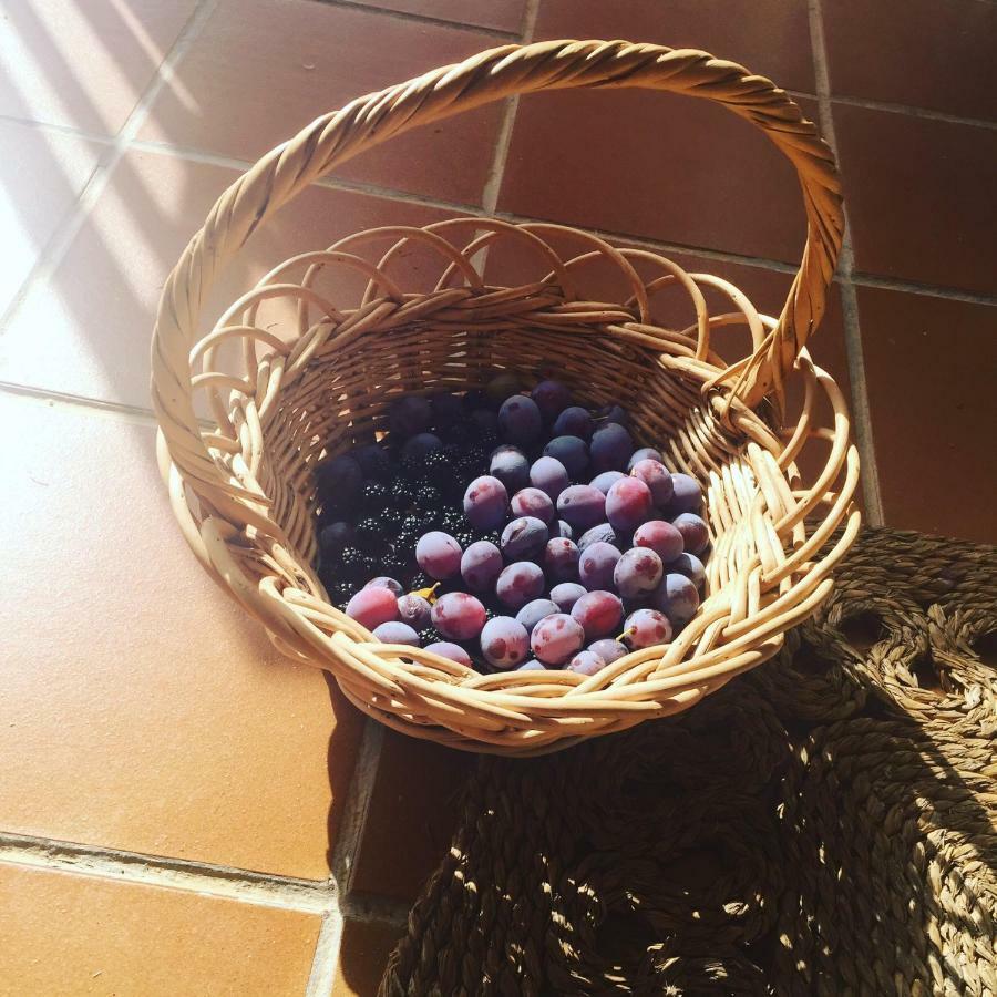 Casa Sierra De Gredos Guest House Navasequilla ภายนอก รูปภาพ